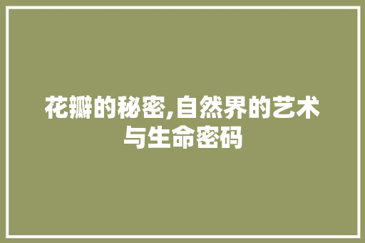 花瓣的秘密,自然界的艺术与生命密码