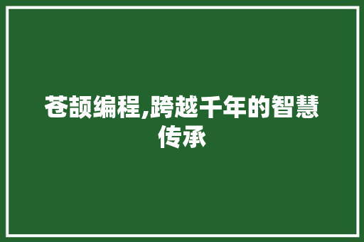 苍颉编程,跨越千年的智慧传承 电脑故障维修