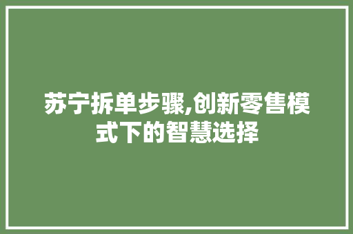 苏宁拆单步骤,创新零售模式下的智慧选择 电脑故障维修