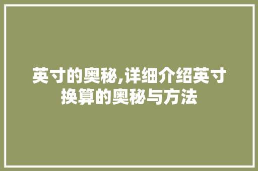 英寸的奥秘,详细介绍英寸换算的奥秘与方法