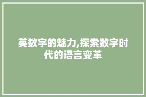 英数字的魅力,探索数字时代的语言变革