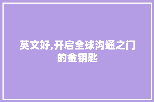 英文好,开启全球沟通之门的金钥匙