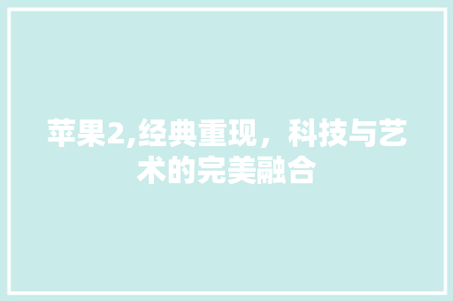 苹果2,经典重现,科技与艺术的完美融合 苹果2,经典重现,科技与艺术的完美融合