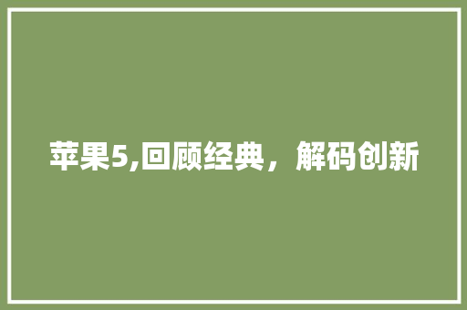 苹果5,回顾经典，解码创新