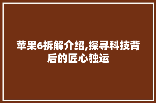 苹果6拆解介绍,探寻科技背后的匠心独运