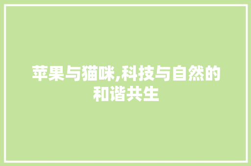 苹果与猫咪,科技与自然的和谐共生