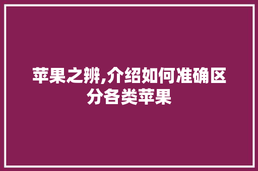 苹果之辨,介绍如何准确区分各类苹果