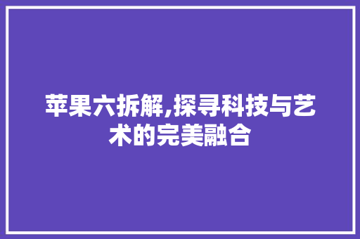 苹果六拆解,探寻科技与艺术的完美融合