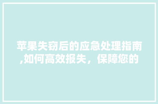 苹果失窃后的应急处理指南,如何高效报失，保障您的财产安全