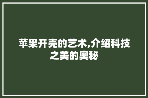 苹果开壳的艺术,介绍科技之美的奥秘 操作系统