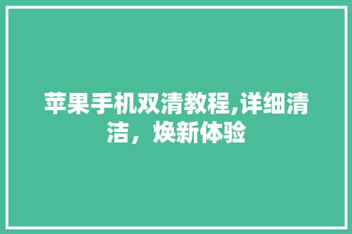 苹果手机双清教程,详细清洁，焕新体验 操作系统