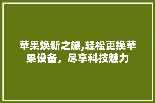 苹果焕新之旅,轻松更换苹果设备，尽享科技魅力 电脑故障维修