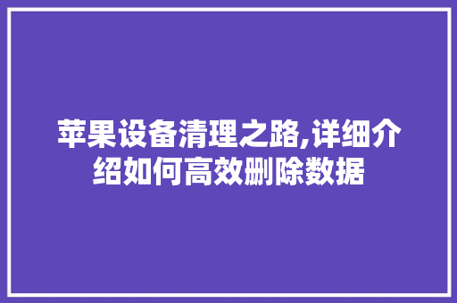 苹果设备清理之路,详细介绍如何高效删除数据
