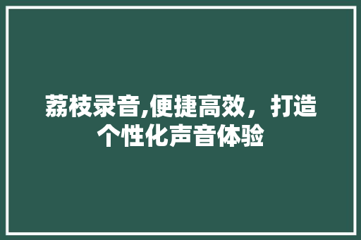 荔枝录音,便捷高效，打造个性化声音体验
