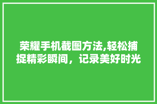 荣耀手机截图方法,轻松捕捉精彩瞬间，记录美好时光