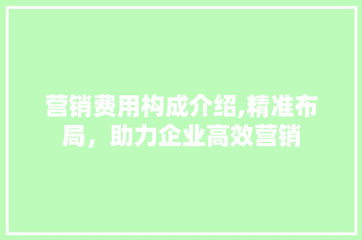 营销费用构成介绍,精准布局，助力企业高效营销 操作系统