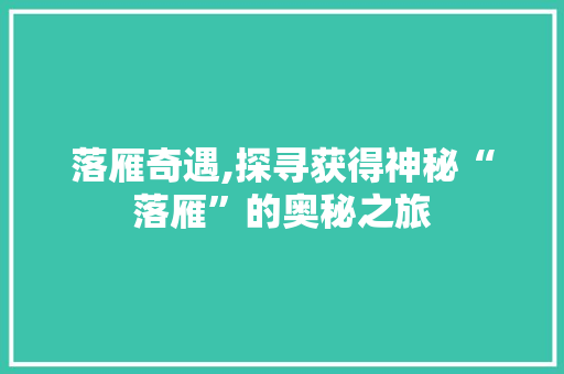 落雁奇遇,探寻获得神秘“落雁”的奥秘之旅