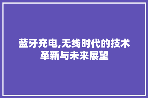 蓝牙充电,无线时代的技术革新与未来展望 蓝牙充电,无线时代的技术革新与未来展望