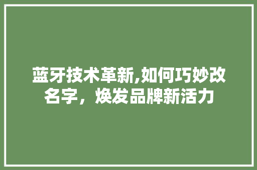 蓝牙技术革新,如何巧妙改名字，焕发品牌新活力