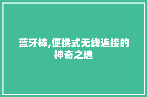 蓝牙棒,便携式无线连接的神奇之选