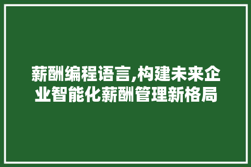 薪酬编程语言,构建未来企业智能化薪酬管理新格局