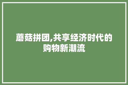 蘑菇拼团,共享经济时代的购物新潮流