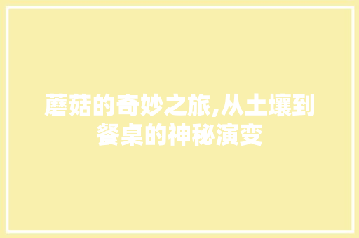 蘑菇的奇妙之旅,从土壤到餐桌的神秘演变