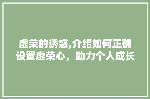 虚荣的诱惑,介绍如何正确设置虚荣心，助力个人成长 电脑配置