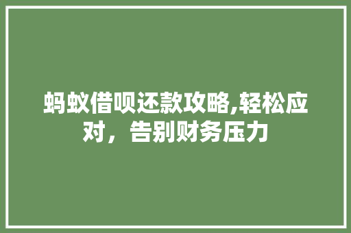 蚂蚁借呗还款攻略,轻松应对，告别财务压力