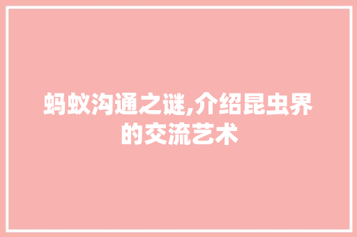 蚂蚁沟通之谜,介绍昆虫界的交流艺术