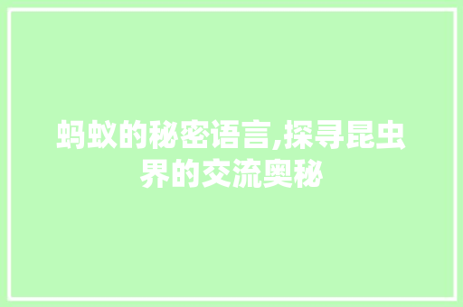 蚂蚁的秘密语言,探寻昆虫界的交流奥秘