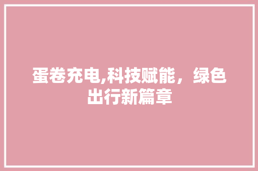 蛋卷充电,科技赋能，绿色出行新篇章