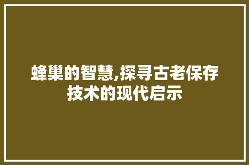 蜂巢的智慧,探寻古老保存技术的现代启示