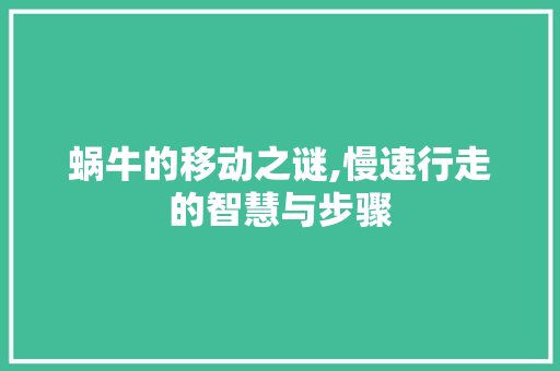 蜗牛的移动之谜,慢速行走的智慧与步骤