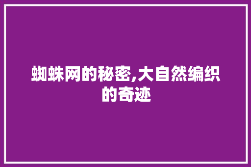蜘蛛网的秘密,大自然编织的奇迹