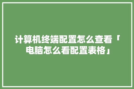计算机终端配置怎么查看「电脑怎么看配置表格」 计算机终端配置怎么查看「电脑怎么看配置表格」 电脑故障维修