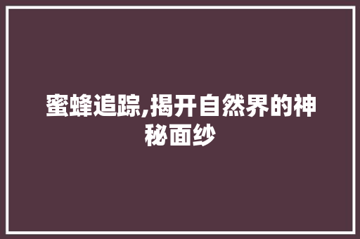蜜蜂追踪,揭开自然界的神秘面纱