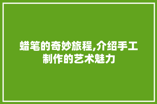 蜡笔的奇妙旅程,介绍手工制作的艺术魅力