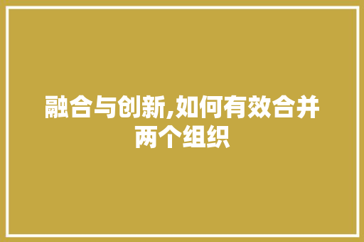 融合与创新,如何有效合并两个组织