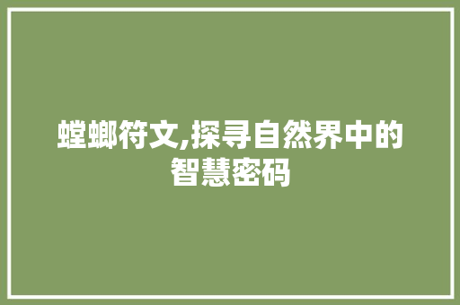 螳螂符文,探寻自然界中的智慧密码