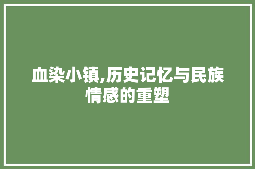 血染小镇,历史记忆与民族情感的重塑 电脑故障维修