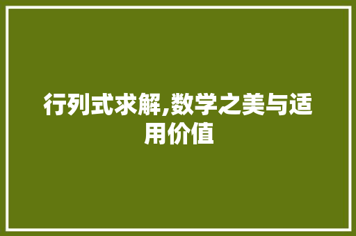 行列式求解,数学之美与适用价值 电脑基础