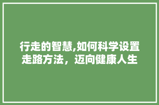 行走的智慧,如何科学设置走路方法，迈向健康人生 电脑基础