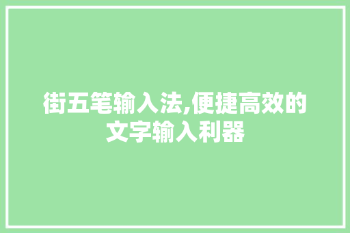 街五笔输入法,便捷高效的文字输入利器 编程语言