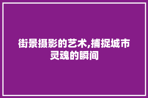 街景摄影的艺术,捕捉城市灵魂的瞬间 电脑配置