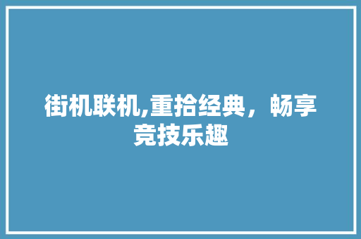 街机联机,重拾经典，畅享竞技乐趣 编程语言