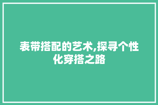 表带搭配的艺术,探寻个性化穿搭之路 电脑故障维修