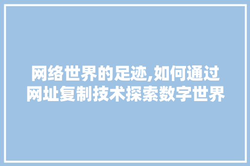 网络世界的足迹,如何通过网址复制技术探索数字世界的奥秘