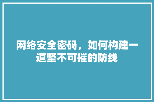 网络安全密码，如何构建一道坚不可摧的防线