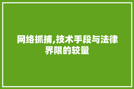 网络抓捕,技术手段与法律界限的较量